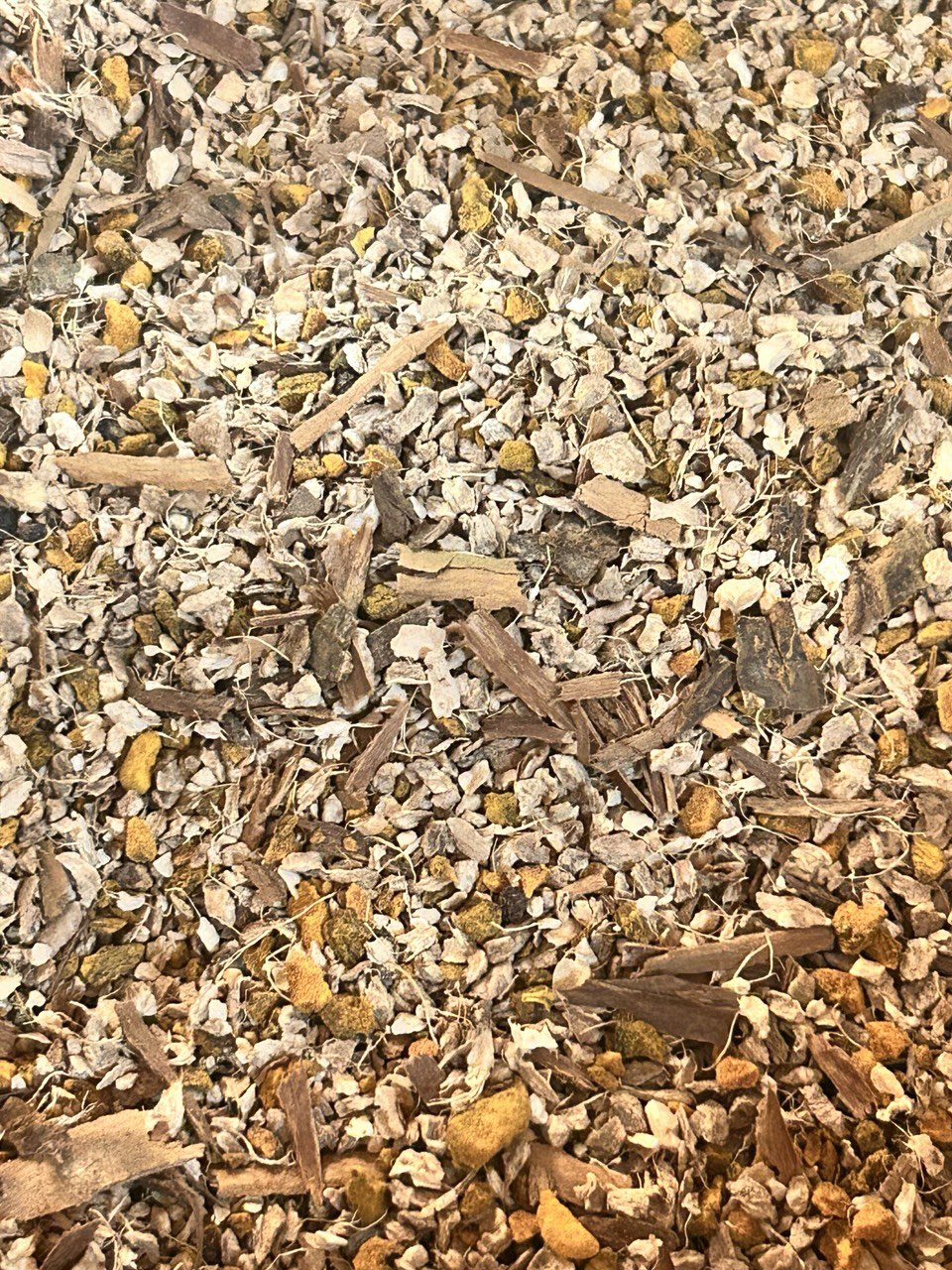Golden Root Chai